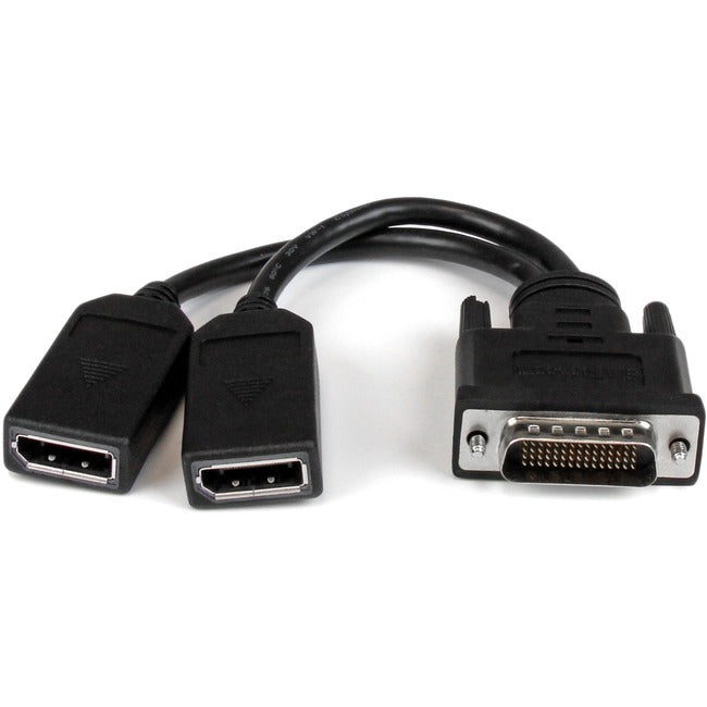 StarTech.com Câble 8 pouces LFH 59 mâle vers double femelle DisplayPort DMS 59