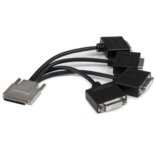 StarTech.com Câble répartiteur VHDCI vers Quad DVI - VHDCI (M) vers 4x DVI-D (F)